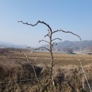 전지 작업