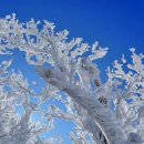 동화나라 이미지