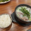 100년설렁탕 티스토리