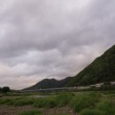 유채꽃향기처럼 | 유채꽃 향기 따라 떠난 충북 옥천군 2박 3일 – 금강유채꽃정원 노지캠핑노랗게 물든 강가.