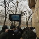 혜성사우나 | [잠실역 롯데호텔 월드] 레지덴셜룸 더블룸 후기. 원더도어 이용해서 롯데월드 편하게 다녀온 솔직후기