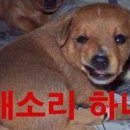 염색방장 - 동구 계족로 97-1 | 염색방장