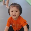 천전동9 Daum카페