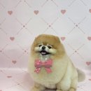 릴리줄리살롱 이미지