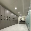 더 디짐 이미지