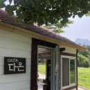 나리다온 이미지