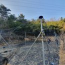 복이네 농장 이미지