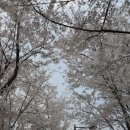 동부여성문화회관 이미지