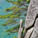 팔공산 하늘정원 이미지