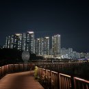 버드나무크래프트 네이버블로그