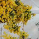 플라워디자인 이미지