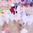 몽이네일 이미지