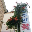 우리꽃집 이미지
