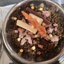 덕분에 행복하개 | 김립 선생님들께서 인천 유기견 보호소 행복하개에 간식 및 사료 기부해주셨습니다!! (기부 인증)