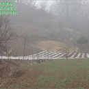 옥천군안남면지수보건진료소 이미지