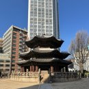 호텔큐브 | 웨스틴 조선호텔 이그제티큐브룸 후기