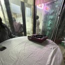 창원 진해 산지에서 먹는 굴의 성지 [안골 대굴대굴]