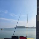 떳다아나고 이미지