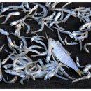 보옥민박 이미지