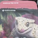 고래의꿈 수족관 이미지