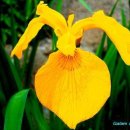 행복상점 이미지