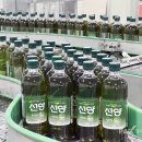 GS25 오산청학점 | GS25 선양 말차 소주가 왔다 — 할인 및 정보 정리