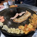 니가사는고기 이미지