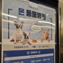 양주 온 동물병원 이미지