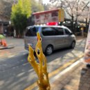 [진안 마이산 탑사 등갈비 더덕정식 / 블루리본] 초가정담 + 마이산 후기
