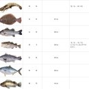 * 불법어업 신고자 등에 대한 신고포상금 지급 기준 이미지