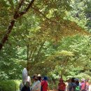 아인스빌(민간개방화장실) | 23.6.19 계족산 황톳길과 장태산 휴양림의 힐링 나의 여행후기