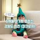 더 NEW 패밀리파크 휘트니스 | 정선 파크로쉬 그랜드 패밀리 스위트룸 6개월 아기랑 호캉스 추천 + 전영진 어가 예약 및 만족 이용 후기