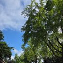 서울 아이랑 가볼만 한 곳 - 국립민속박물관 어린이박물관 솔직후기 및 주차정보,주차요금