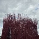 와이랜드 | 영월 가볼만한 곳 젊은달와이파크 솔직후기