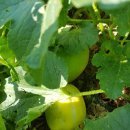 진호농장 이미지