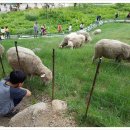 웅이목장 이미지