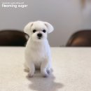 니들펠트 이미지