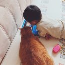 이소영동물병원 이미지