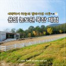 우리목장 | 농도원목장 체험 예약 어려운 용인 아기랑 갈만한곳 점심 도시락 필수