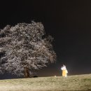 함안 말이산고분군 이미지