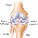 정직한 FIT 이미지