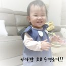코코수 이미지