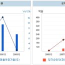 시나이글로벌 이미지