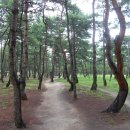 송림길삼거리 이미지