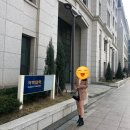 초심메디컬 | [공지] 2026년 생기부 컨설팅 시작합니다.