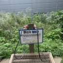 통일공원 테니스장