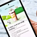 스타벅스 조 카인드 스누피 초코 카라멜 프라푸치노 자바칩 9번 반반 두유 변경 샷추가 커스텀 후기