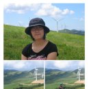 준성목장 이미지