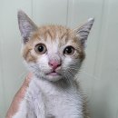 북대구농협 산격지점 이미지