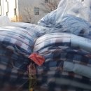 다솜요양병원 이미지